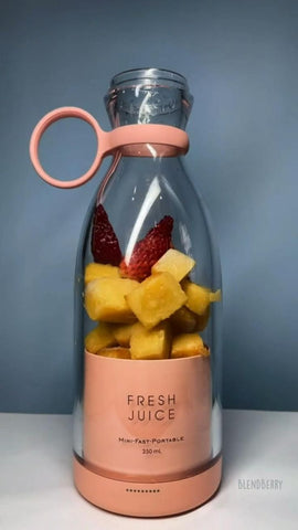 Mini Juicer Blender